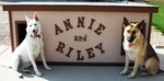 Annie and Riley - Washington